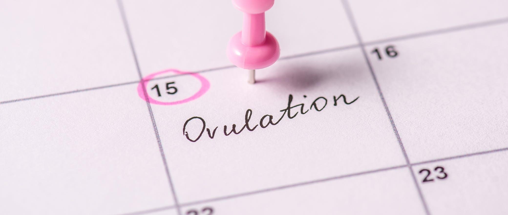9 Signs of Ovulation: Listen To Your Body