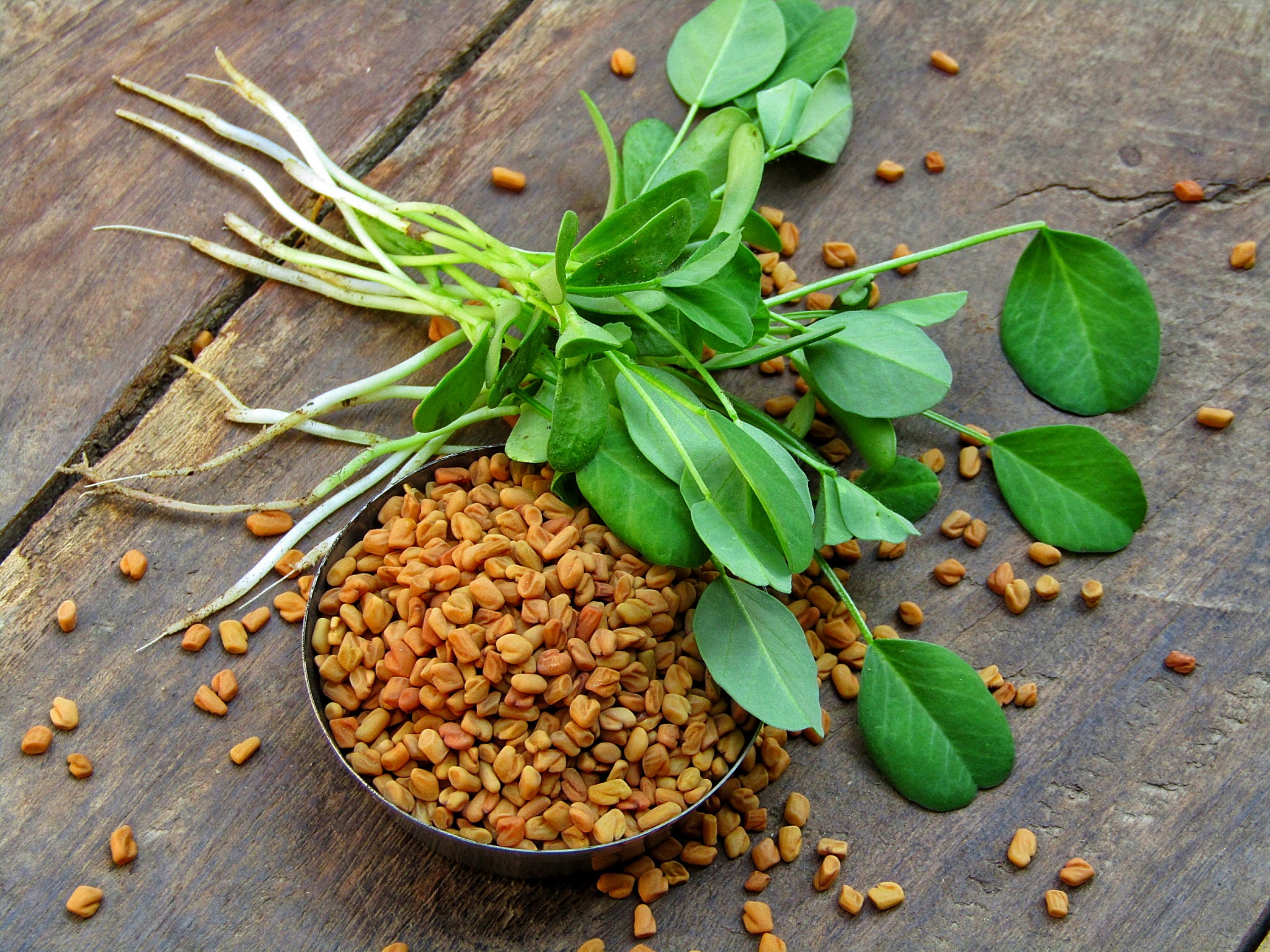 Fenugreek Seeds Benefits: Uses, Nutrition, and Health Impact