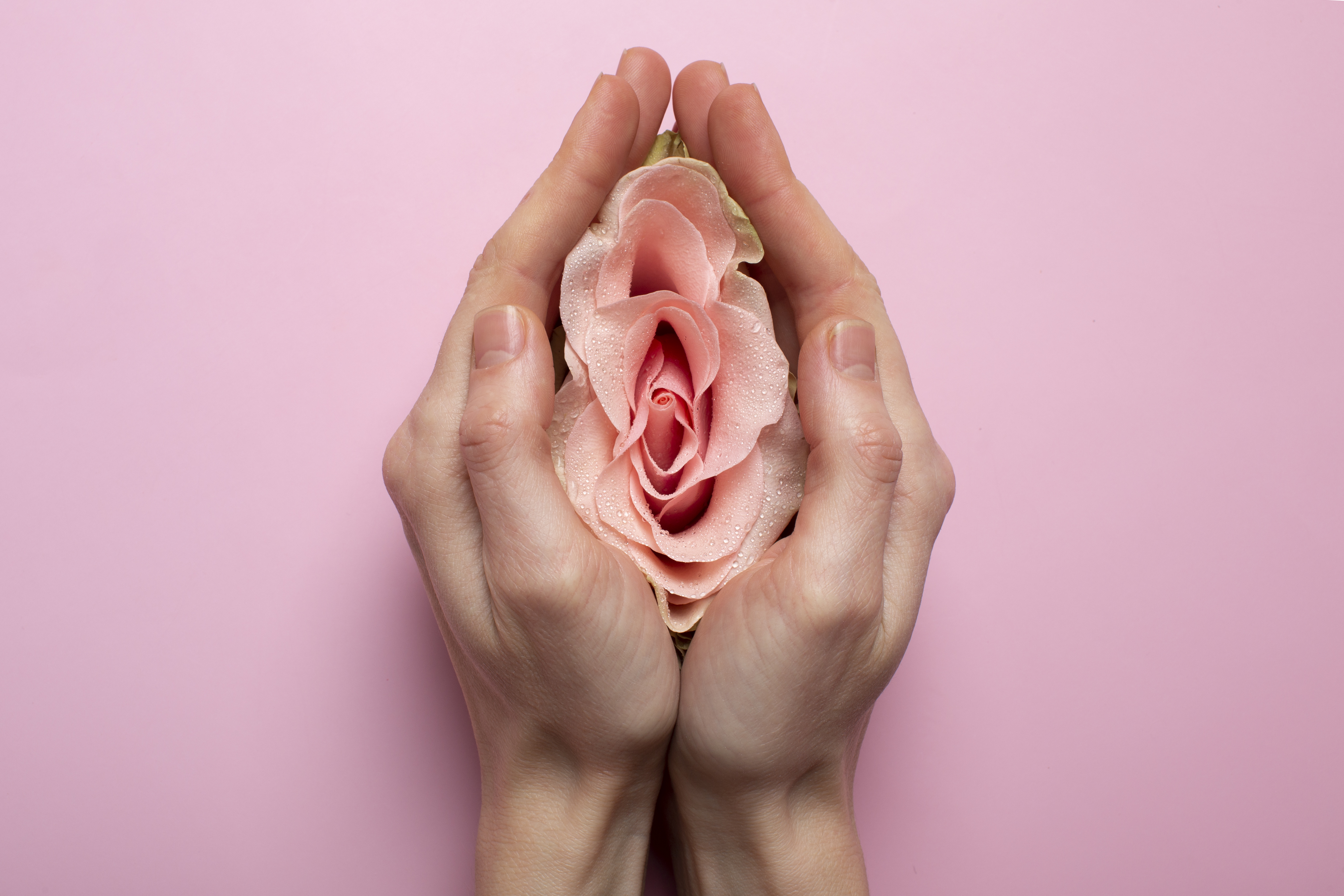 Understanding the Clitoral Hood: Anatomy, Care & More